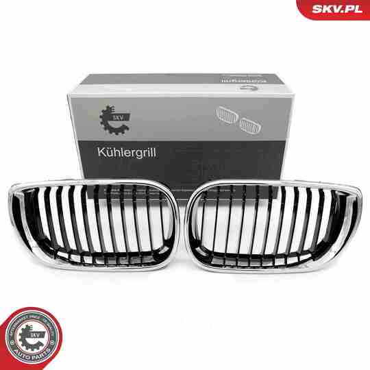 66SKV079 - Radiator Grille 