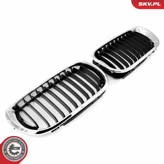 66SKV079 - Radiator Grille 