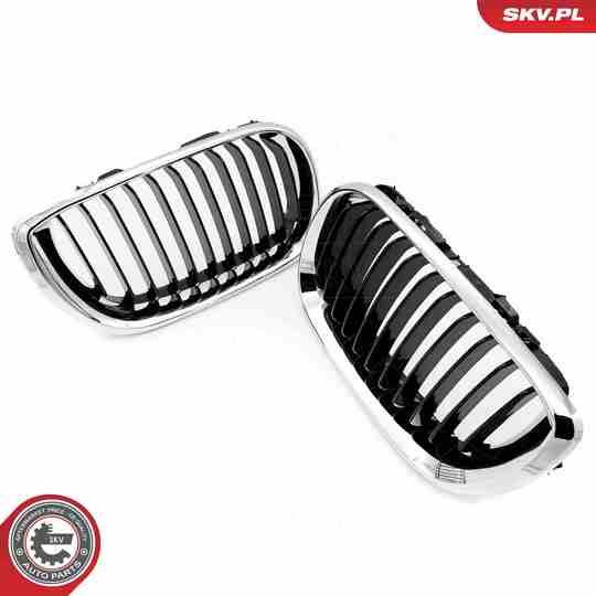 66SKV079 - Radiator Grille 