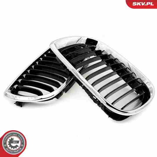 66SKV079 - Radiator Grille 