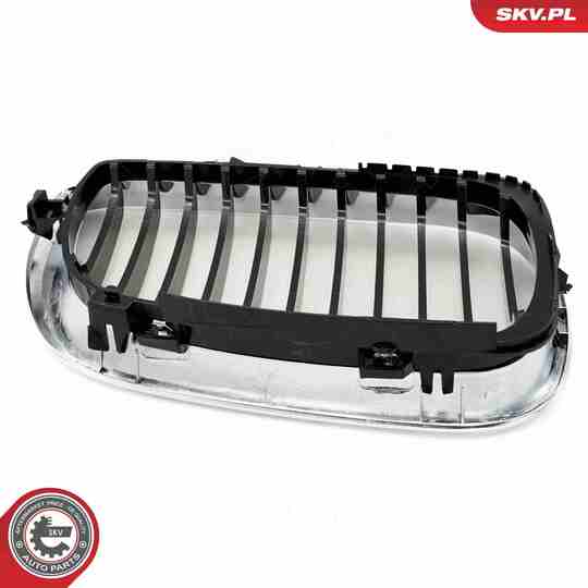 66SKV079 - Radiator Grille 