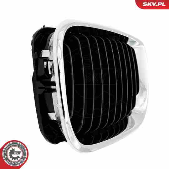 66SKV079 - Radiator Grille 