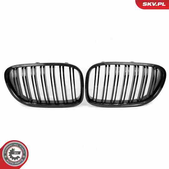 66SKV221 - Radiator Grille 