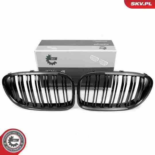 66SKV221 - Radiator Grille 