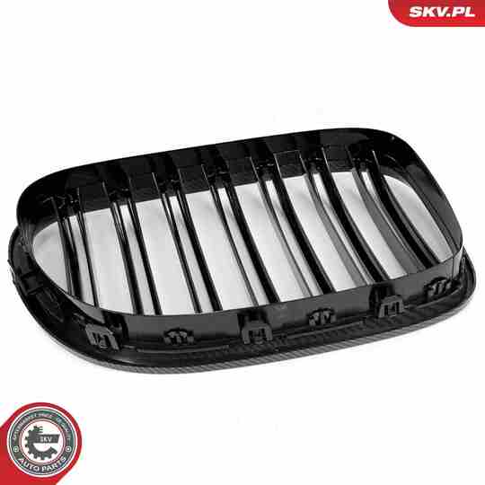 66SKV221 - Radiator Grille 