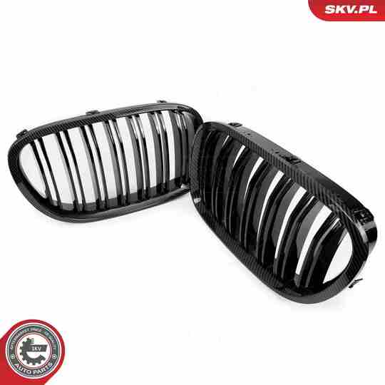 66SKV221 - Radiator Grille 