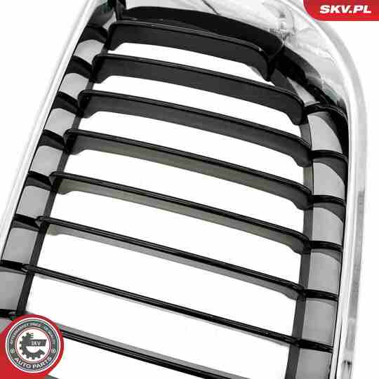 66SKV079 - Radiator Grille 