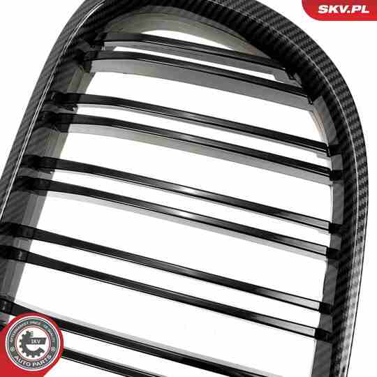 66SKV221 - Radiator Grille 