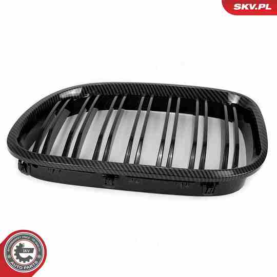 66SKV221 - Radiator Grille 