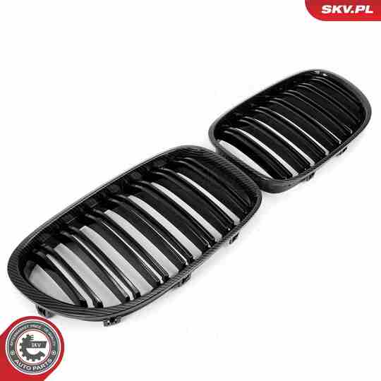 66SKV221 - Radiator Grille 