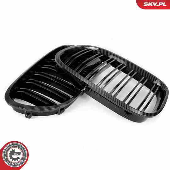 66SKV221 - Radiator Grille 