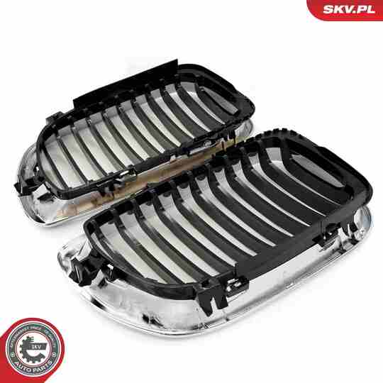 66SKV079 - Radiator Grille 