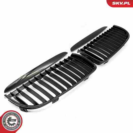 66SKV085 - Radiator Grille 