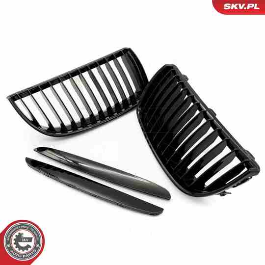 66SKV085 - Radiator Grille 