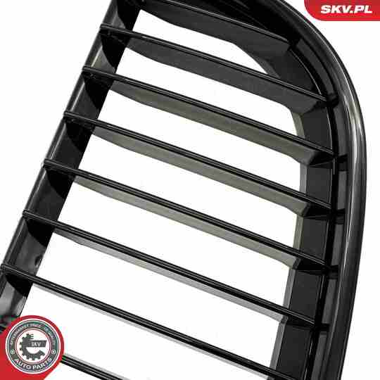 66SKV085 - Radiator Grille 