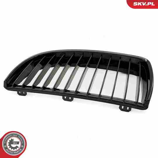 66SKV085 - Radiator Grille 