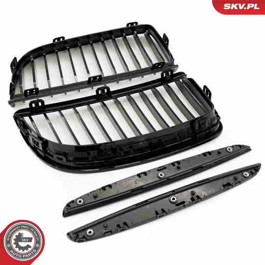 66SKV085 - Radiator Grille 