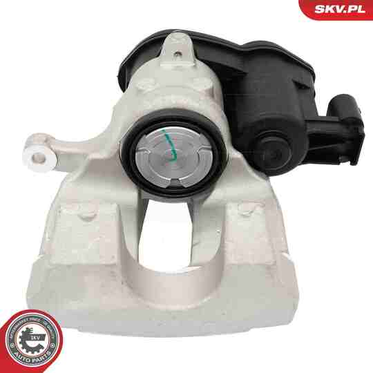 56SKV493 - Brake Caliper 