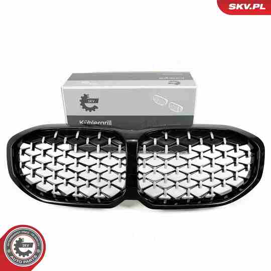 66SKV028 - Radiator Grille 