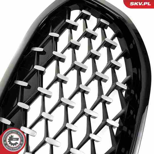 66SKV028 - Radiator Grille 