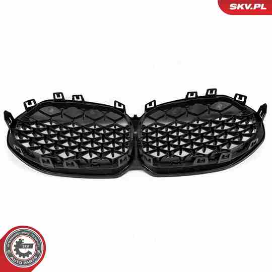 66SKV028 - Radiator Grille 