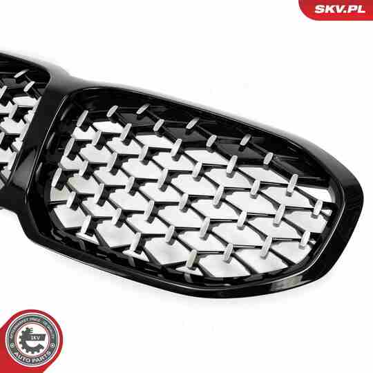 66SKV028 - Radiator Grille 