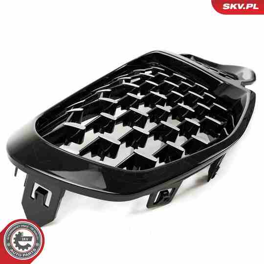 66SKV028 - Radiator Grille 