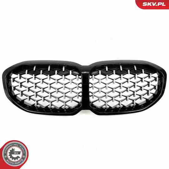 66SKV028 - Radiator Grille 