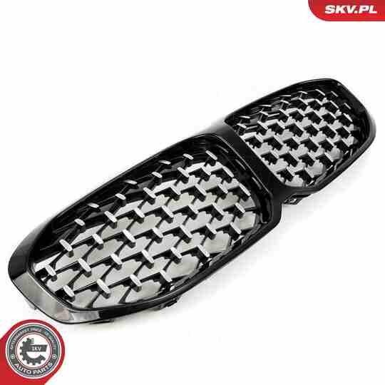 66SKV028 - Radiator Grille 