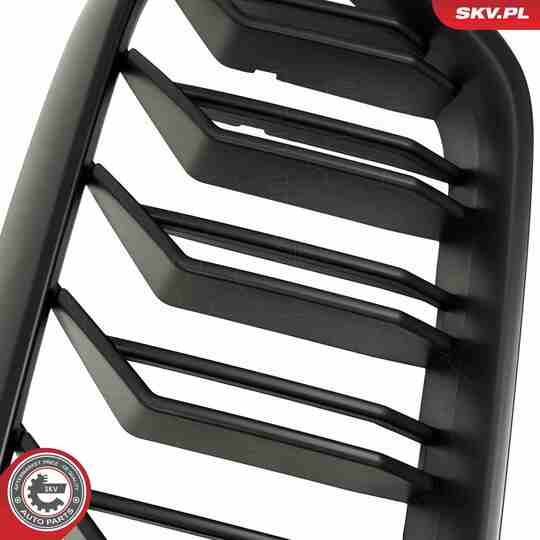 66SKV204 - Radiator Grille 