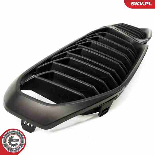 66SKV204 - Radiator Grille 