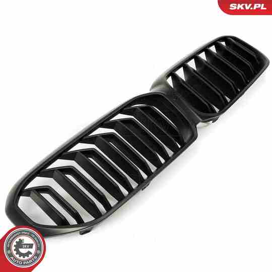 66SKV204 - Radiator Grille 