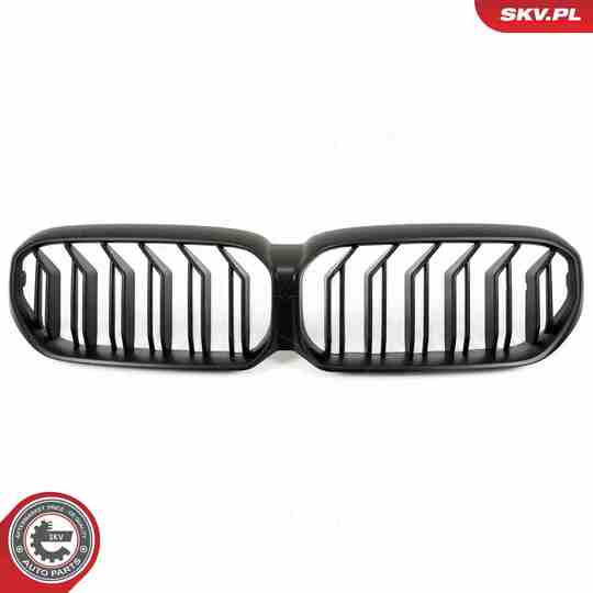 66SKV204 - Radiator Grille 