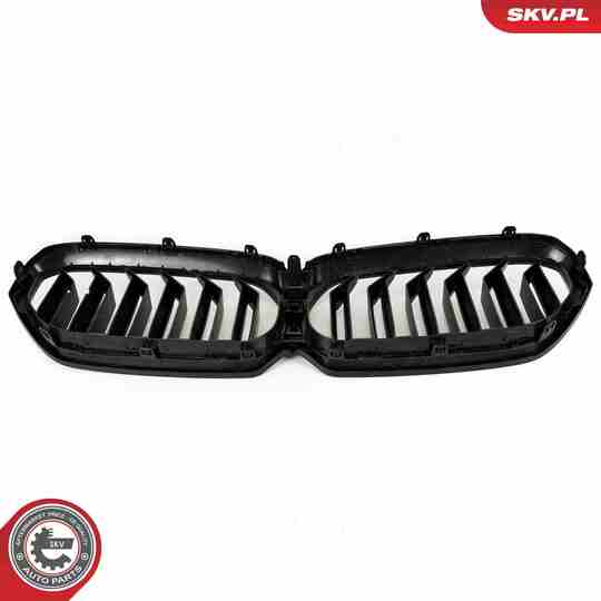 66SKV204 - Radiator Grille 