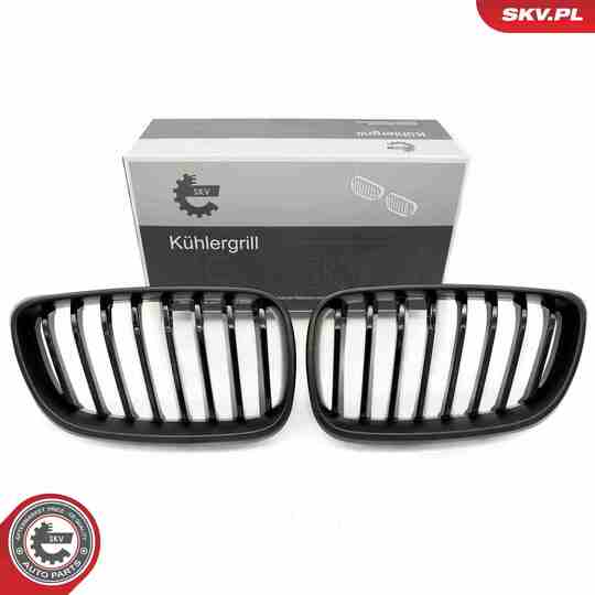 66SKV031 - Radiator Grille 