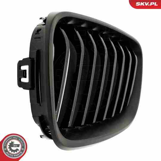 66SKV031 - Radiator Grille 