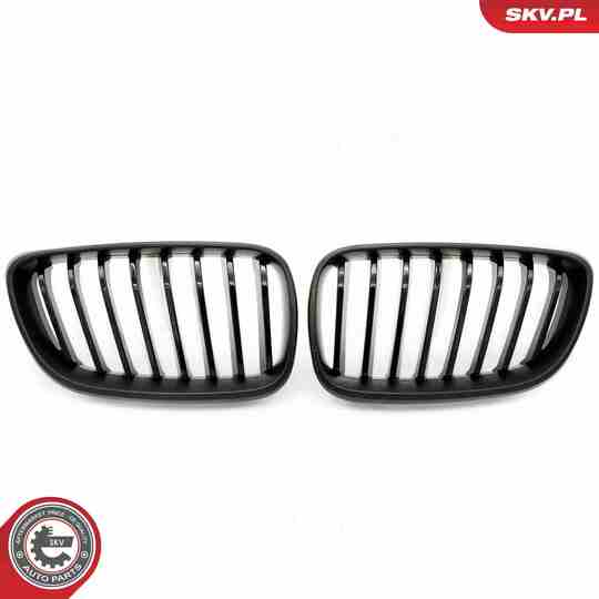 66SKV031 - Radiator Grille 