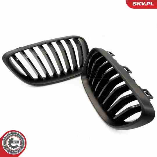 66SKV031 - Radiator Grille 