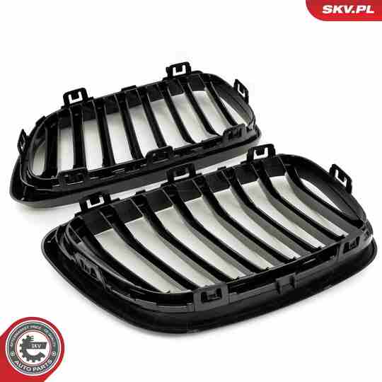 66SKV031 - Radiator Grille 