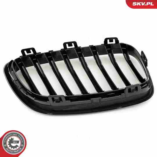 66SKV031 - Radiator Grille 