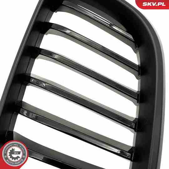 66SKV031 - Radiator Grille 