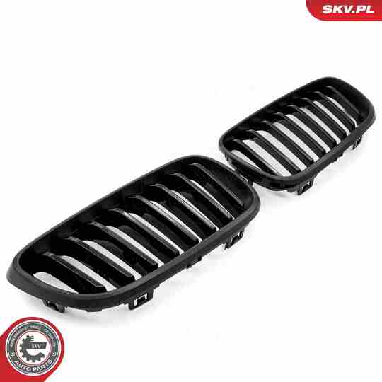 66SKV031 - Radiator Grille 