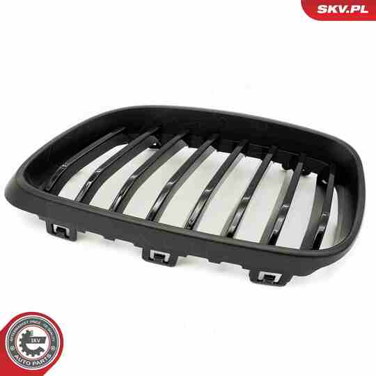 66SKV031 - Radiator Grille 