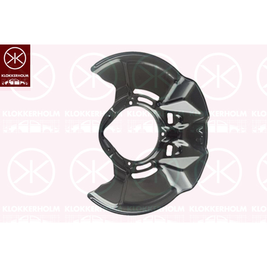 2940370 - Splash Panel, brake disc 