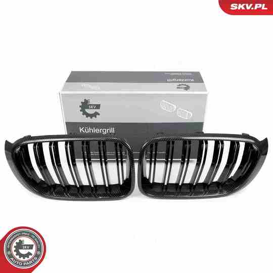 66SKV259 - Radiator Grille 