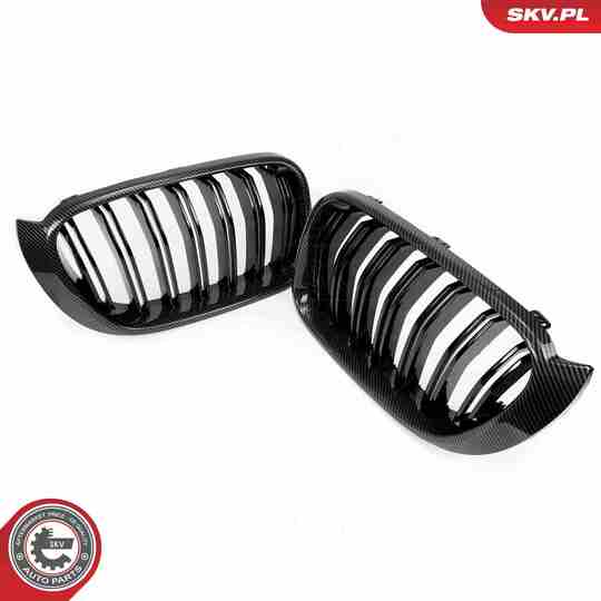 66SKV259 - Radiator Grille 