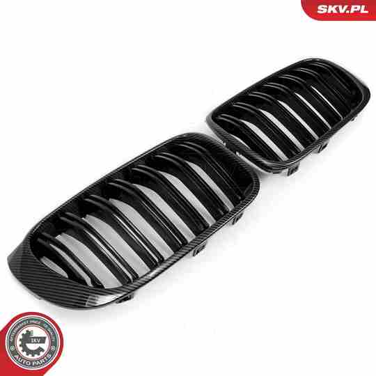 66SKV259 - Radiator Grille 