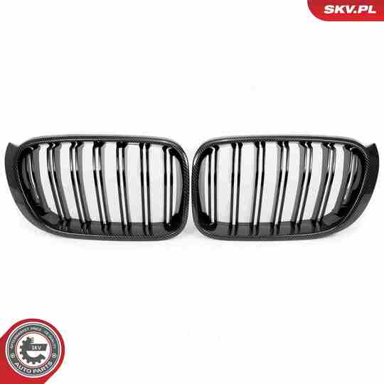 66SKV259 - Radiator Grille 