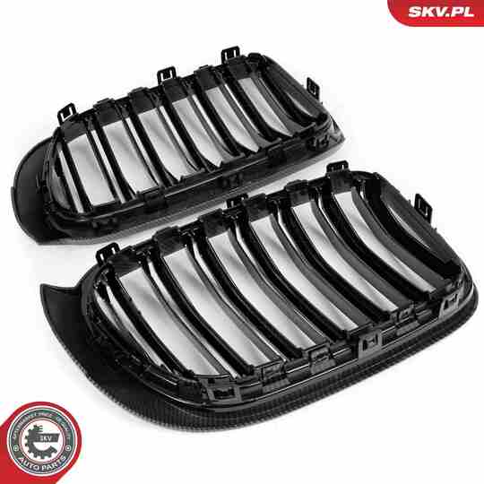 66SKV259 - Radiator Grille 