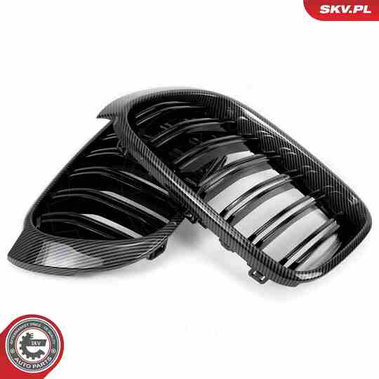 66SKV259 - Radiator Grille 